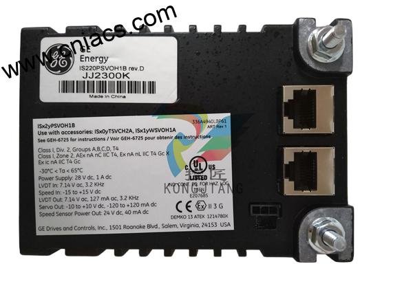 GE DS200DMCBG1AKG Spare Parts - Image 2